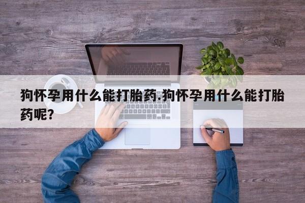网上购买打胎药联系方式狗怀孕用什么能打胎药.狗怀孕用什么能打胎药呢？