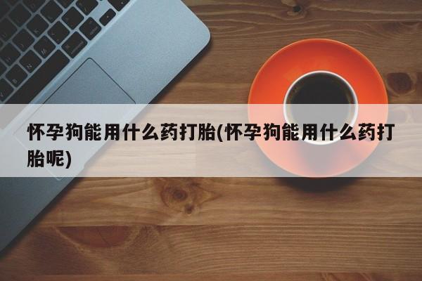 网上购买打胎药联系方式怀孕狗能用什么药打胎(怀孕狗能用什么药打胎呢)